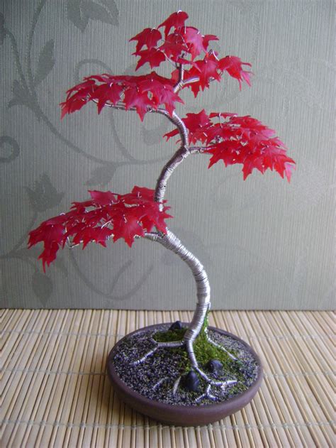 Red Japanese Maple Tree Bonsai Seeds Packet Bonsai Plant Acer Etsy