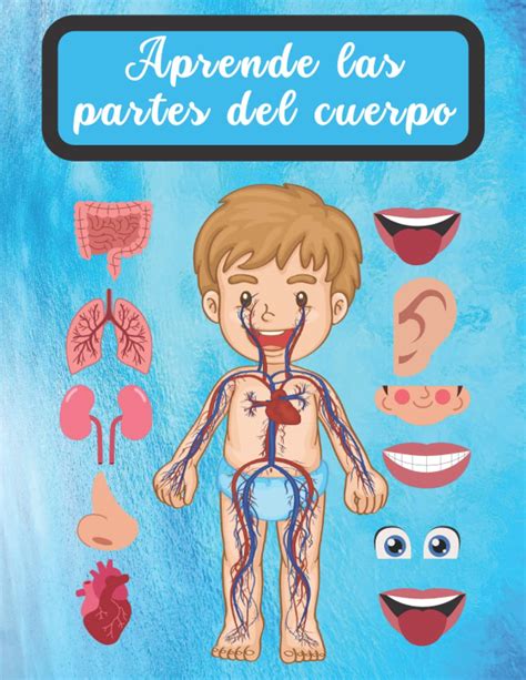 Buy Aprende Las Partes Del Cuerpo Para Niños Libro De Actividades