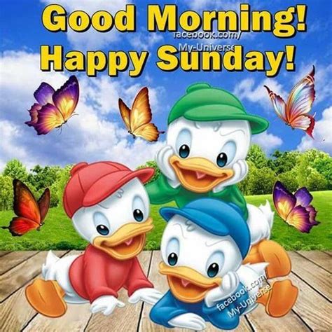 Good Morning Happy Sunday Pictures Photos And Images