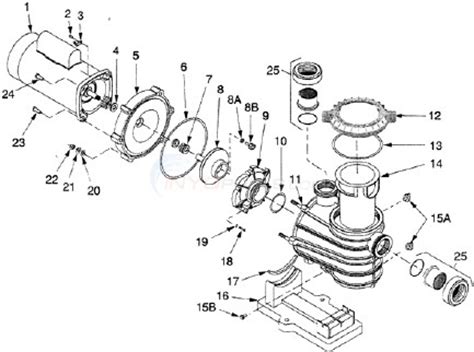 Be located away from corrosive or flammable. Sta Rite Pump Parts Diagram - Hanenhuusholli