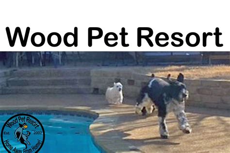 Wood Pet Resort