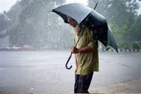 Monsoon 2022, West Bengal Weather Update, India Weather Update, South Bengal Weather Update ...