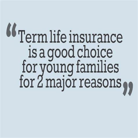20 Quotes On Term Life Insurance Images And Photos Quotesbae