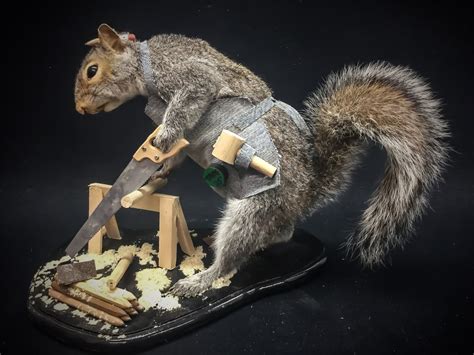 These Taxidermists Are Imagining Squirrels As Jedi Knights Bikers And