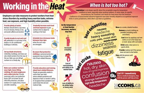 Learn about the browsers we support. How to manage heat stress in the workplace | Workplace ...