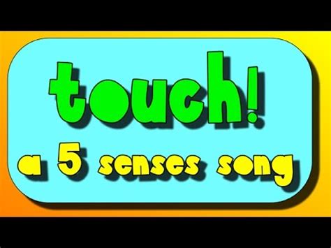 5 senses song- your sense of touch! - YouTube
