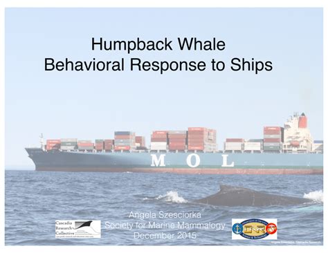 Pdf Humpback Whale Behavioral Response To Ships