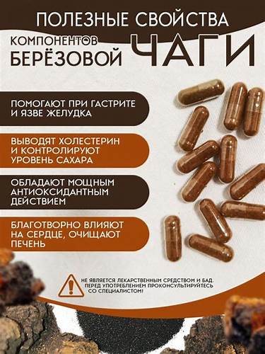 Чага березовая экстракт сублимированный 90 капсул по 700 мг Картинка - Чага березовая экстракт сублимированный 90 капсул по 700 мг