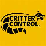 Photos of Critter Control Des Moines