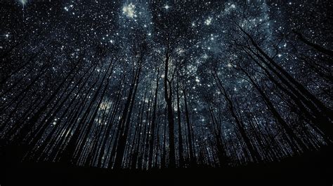 Check spelling or type a new query. Trees without leaves on a background of stars wallpapers ...