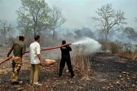 After Uttarakhand Forest Fire Now Rages In Himachal And Jandk