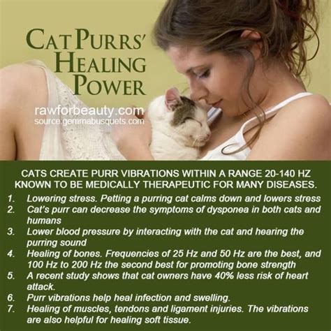 Good news for cat lovers: The Healing Power of the Cat | PetHelpful