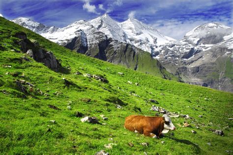 De johann, genoemd naar aartshertog. Zomer in Karinthië, een avontuur in de Oostenrijkse Alpen ...