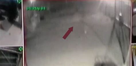 Ghosts Caught On Camera 2020 Man Captures His Deceased Cat On Camera Can You Figure Out If It