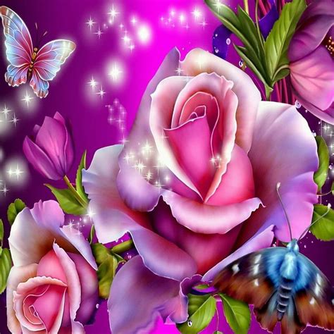 The Beautiful Rose Purple Butterfly Wallpaper Butterfly Wallpaper