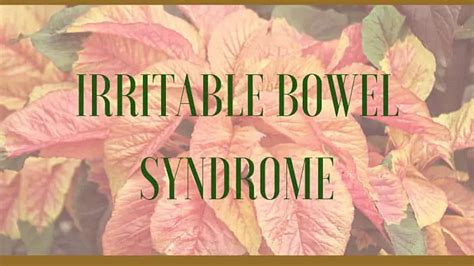 Herbal Remedies For Ibs Irritable Bowel Syndrome