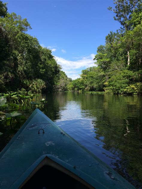 Maybe you would like to learn more about one of these? Kayaking at Wekiwa springs. | Central florida, Florida ...