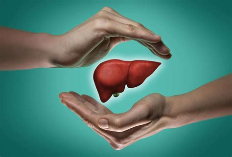 Chronic Liver Disease Causes And Symptoms Alcohol Rehab Guide