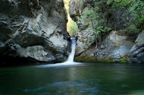 Forest Jungle River Rocks Stones Waterfalls Canada Wallpaper