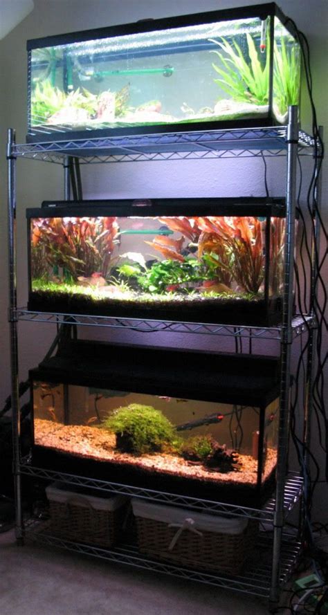 Suggestions For Setting Up A Triple Tank Shelf Page 5 Aquarium