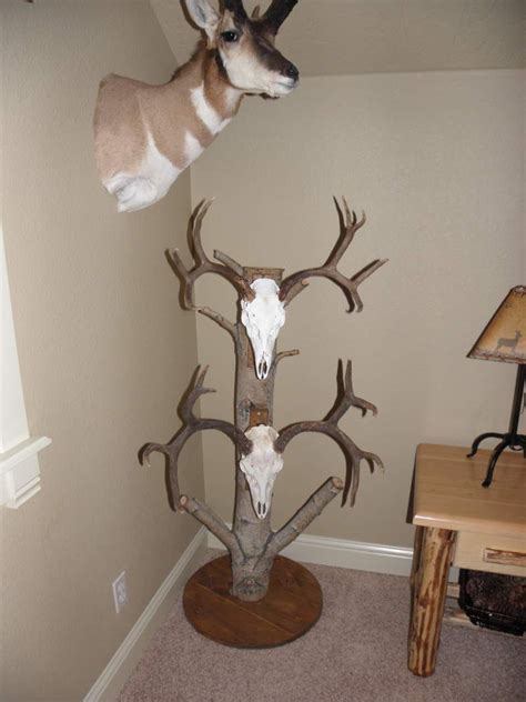 How To Do A European Mount On A Buck