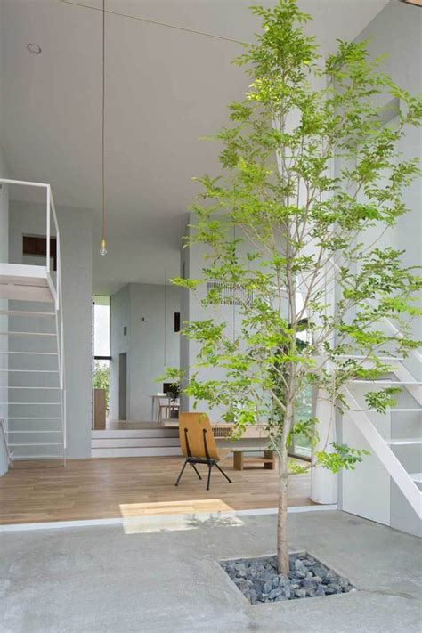 Weitere ideen zu vorgarten pflanzen, pflanzen, vorgarten. Baum im Haus | Wohnideen einrichten