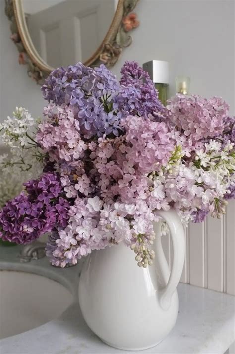 Lilac Bouquet Lilacs Pinterest