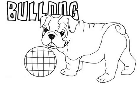 Beautiful coloring page with mom and two puppies the bulldog looks very gloomy, but in fact it's funny Cute Little American Bulldog Puppy Coloring Page For ...