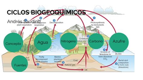 Ciclos Biogeoquímicos Cuáles Son Los Elementos Comunes En La Tierra Y