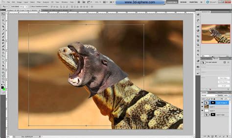 How to draw a lab. Merging two animals together using Photoshop - preview - YouTube