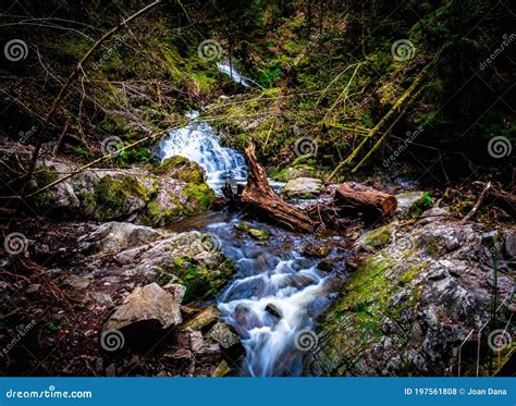 Small Waterfalls In A Ravine In The Black Forest Germany Stock Photo