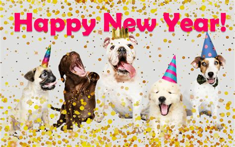 Whether you're a cat lover, a dog lover or you've got a family of chimpanzees sharing your home with you, today's the day to spoil them even more than you normally do and show them how much they. NEW YEAR'S DAY | Topanga Pet Resort