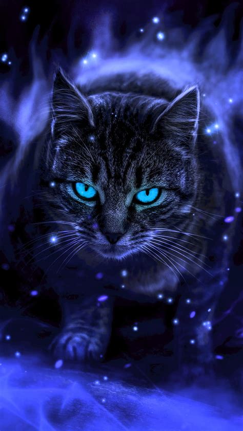 Blue Cat Blue Eyes Kitten Eyes Animal Drawings Hd Phone Wallpaper