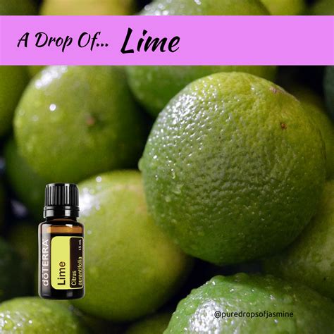 Learn A Little More About The Amazing Benefits Of Lime Doterra