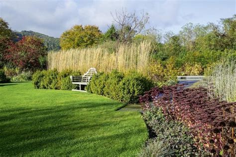 Romantasy reihe (rezensionen im garten) band 1: Sichtschutz und Raumteiler im Garten von Marion Lagoda ...