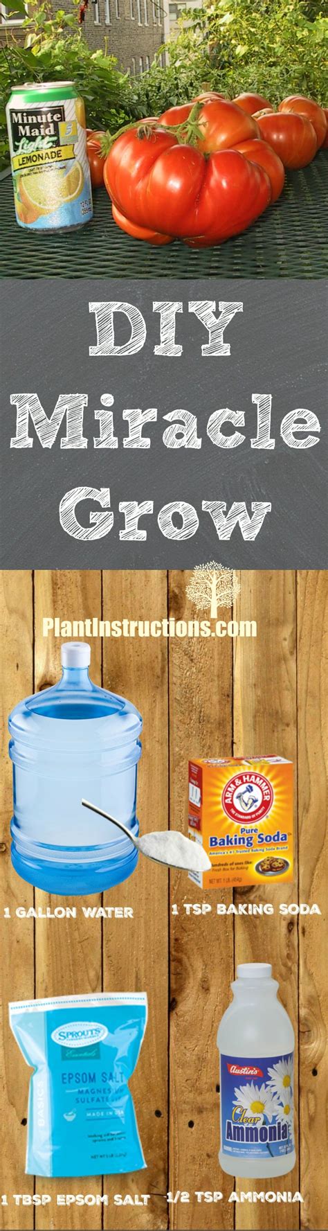 Homemade Miracle Grow Recipe Miracle Grow Diy Miracle Grow Homemade