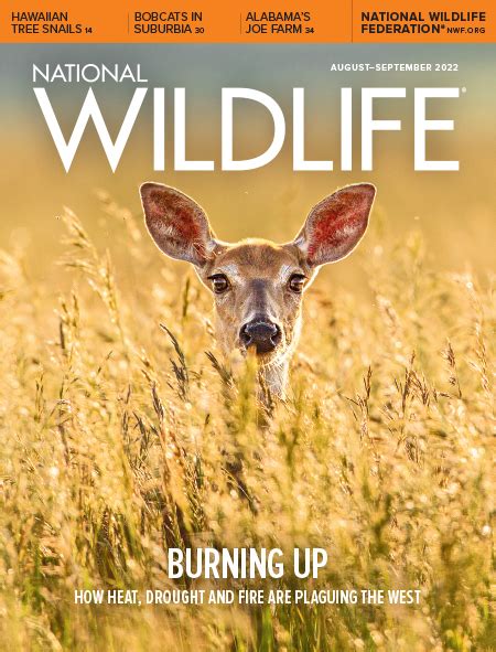National Wildlife® Magazine National Wildlife Federation