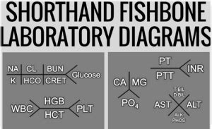 So Here Is An Example Of Shorthand Fishbone Diagrams Found On Pinterest From Nurse Nicole