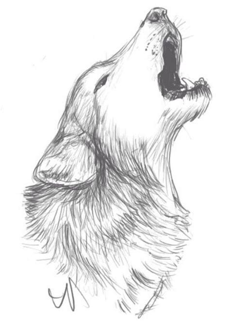 Easy Wolf Pencil Drawings