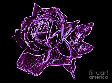 Purple Neon Rose Digital Art By Brenda Landdeck Pixels