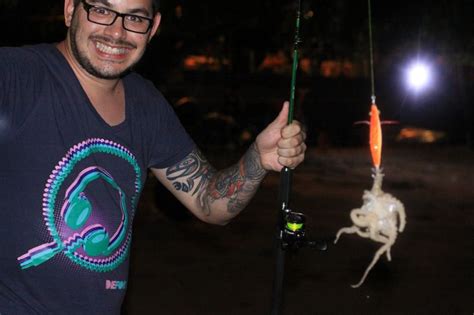 In this study, we localized cytoskeletal and signaling proteins in octopus photoreceptors to determine their. Catching an octopus during night fishing at Pangkor Island ...