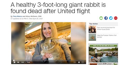 The Mindless Freaks 3 Foot Long Rabbit Dies After United Airlines