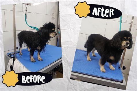 Our Grooming - Maw & Paw Pet Market