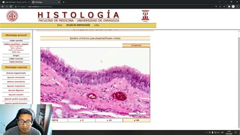 ¿cómo Aprender HistologÍa Atlas De Histología Youtube