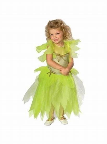 Tinkerbell Fairy Costume Characters Costumes Disney Wings