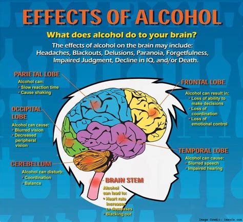How Alcohol Effect On Brain And Declines Cognitive Ability