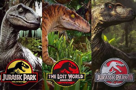 Pin By Dinosaur On 2019 6 21 Jurassic Park Raptor Jurassic Park Jurassic