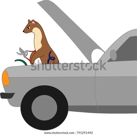 Marten Cuts Cars Cable Vector Illustration Stock Vector Royalty Free