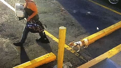 Woman Arrested For Allegedly Snatching Dog After Owner Had Seizure At