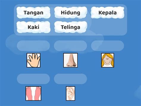 Bagian Tubuh Match Up